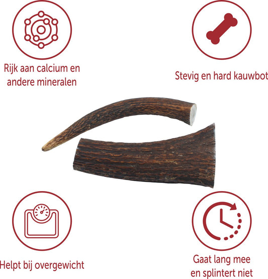 Edelhertengewei – 100% Natuurlijk Kauwbot voor Honden – Maat XS t/m XXXL