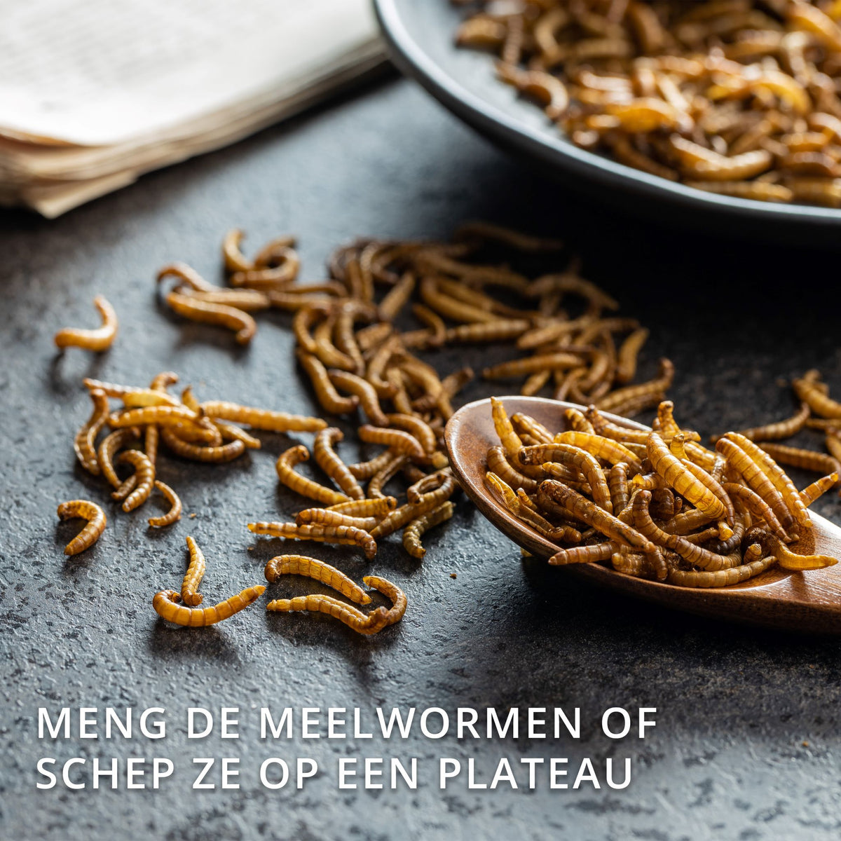 Meelwormen Gedroogd – 10 kg (60 liter) – Natuurlijk Diervoeder