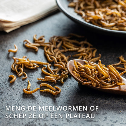 Meelwormen Gedroogd – 10 kg (60 liter) – Natuurlijk Diervoeder
