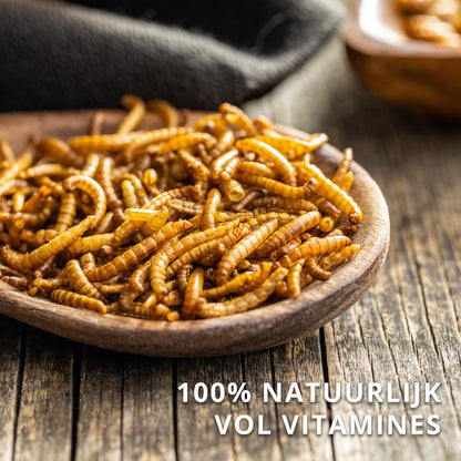 Meelwormen Gedroogd – 10 kg (60 liter) – Natuurlijk Diervoeder