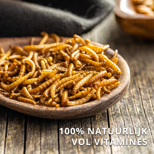 Meelwormen Gedroogd – 10 kg (60 liter) – Natuurlijk Diervoeder