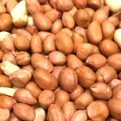 Gepelde Pinda’s voor vogels en eekhoorns – 10kg - Natuurlijk Vogelvoer