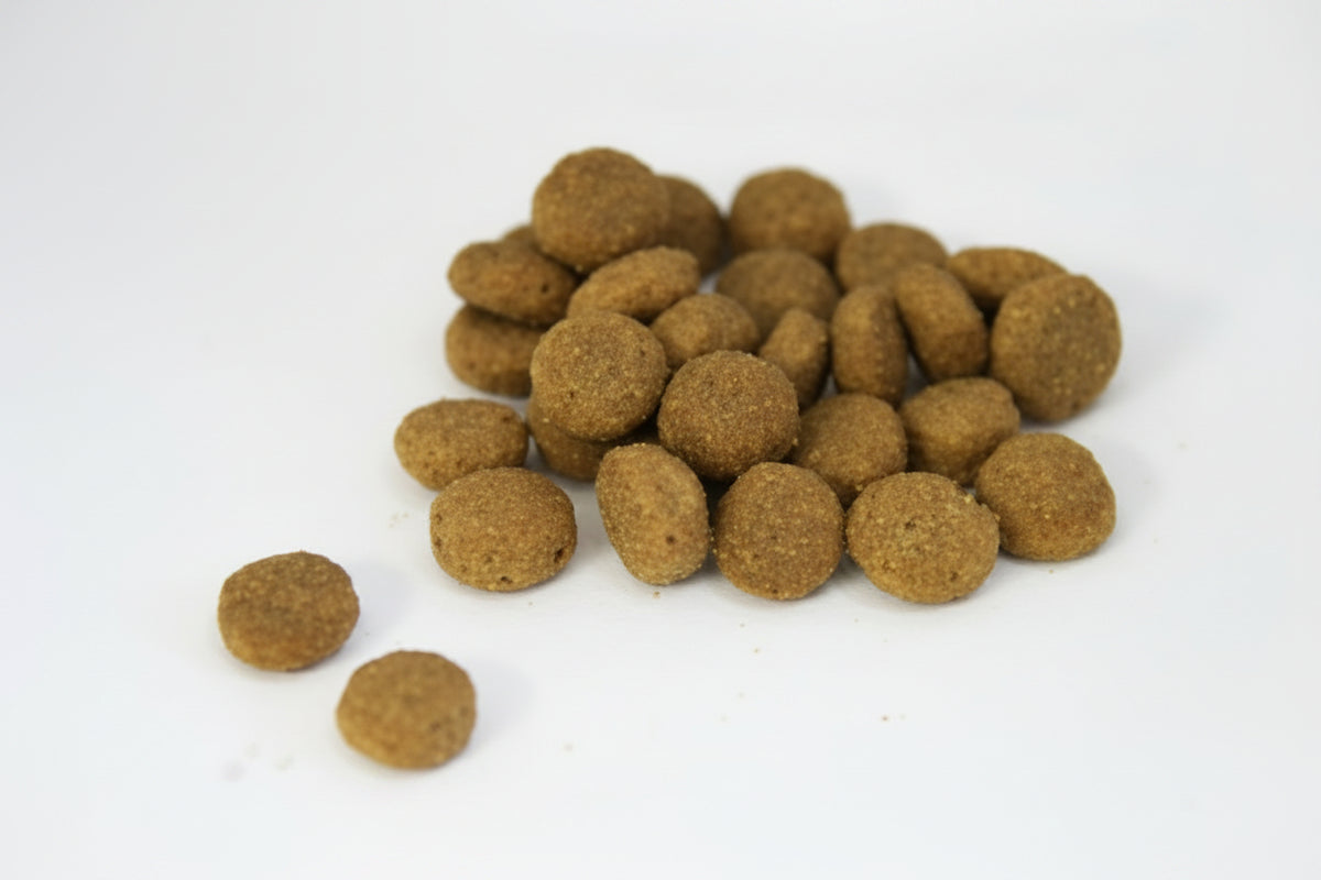 Huismerk Lam en Rijst brok adult zak a 10kg.