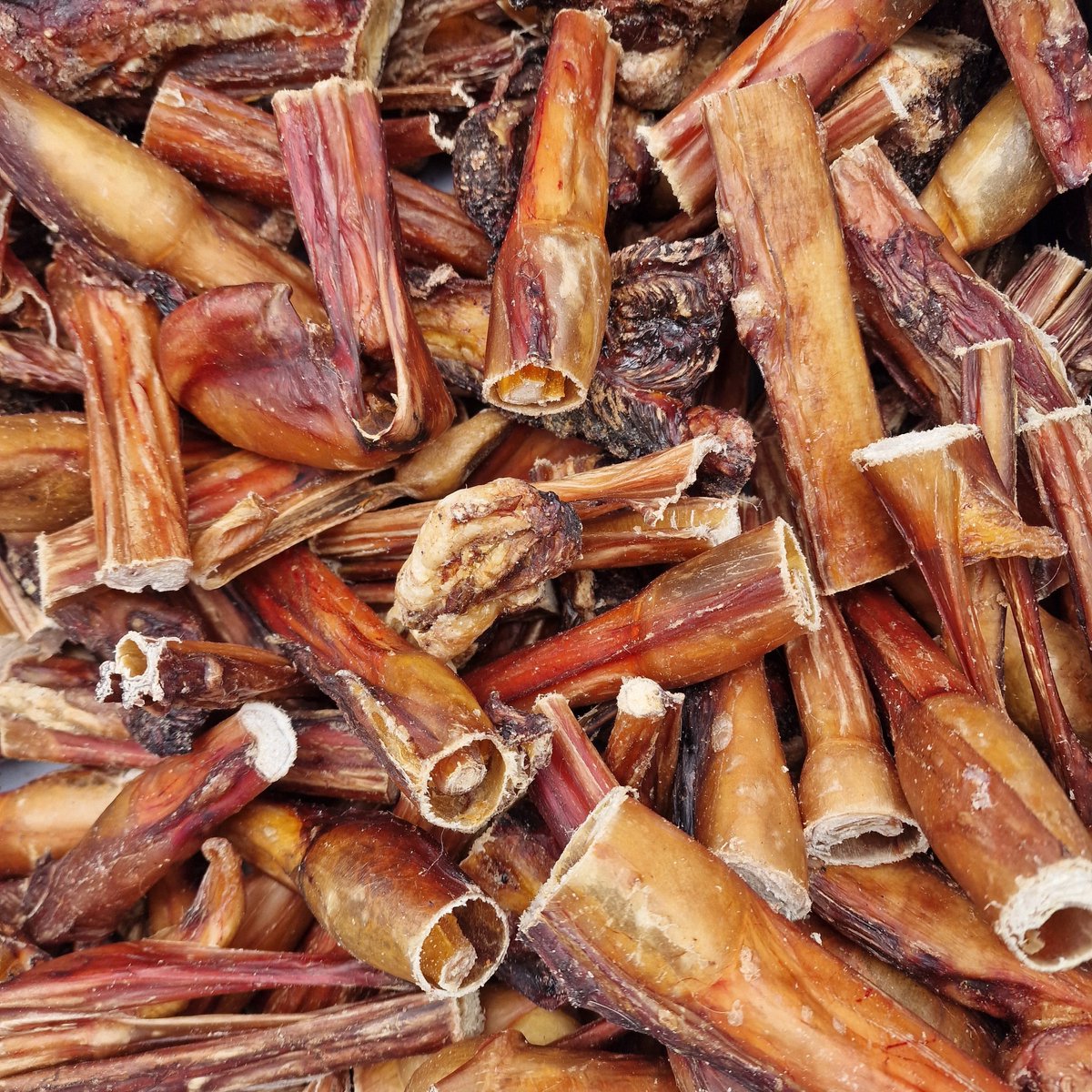 Bullepees Puntjes – 15 cm – 1 kg – Vers Gedroogde Hondensnack