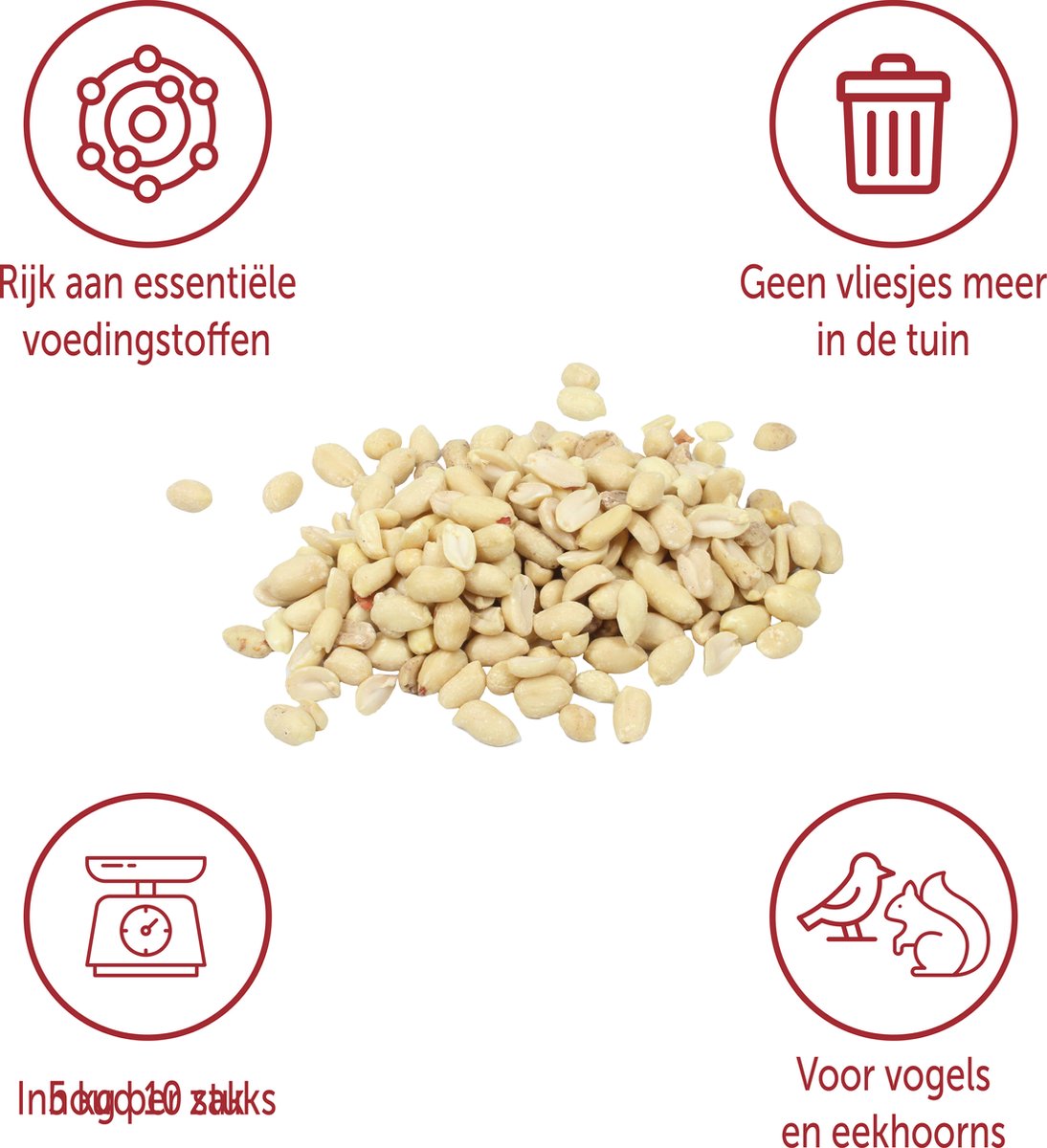 Gepelde Witte Pinda’s Olierijk – 5 kg – Voor Vogels en Eekhoorns