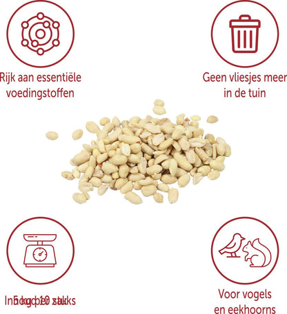 Gepelde Witte Pinda’s Olierijk – 5 kg – Voor Vogels en Eekhoorns