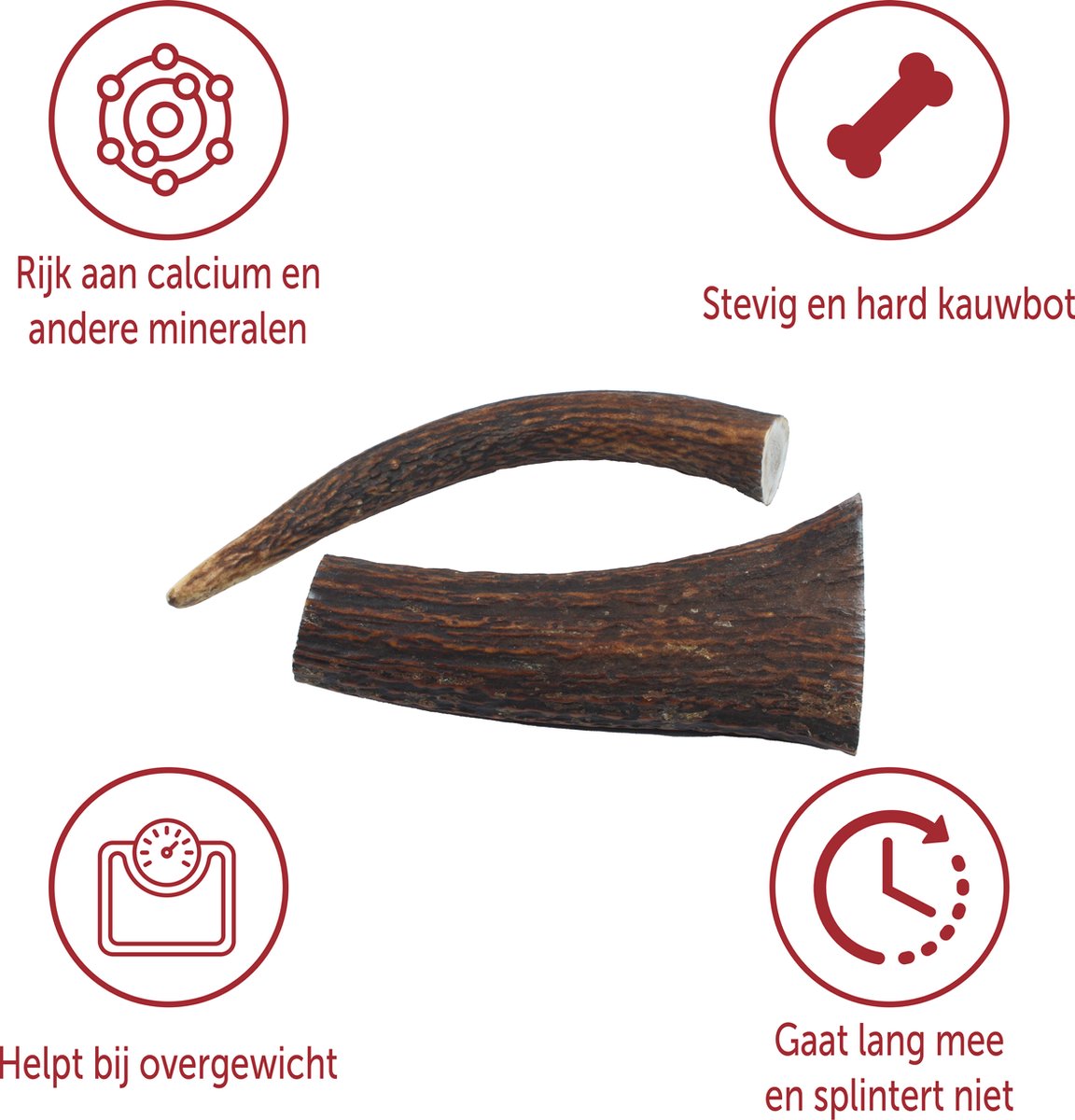 Edelhertengewei – 100% Natuurlijk Kauwbot voor Honden – Maat XS t/m XXXL