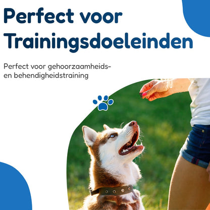Lamslong Trainers – vers Gedroogde Hondensnack – 1000 gram
