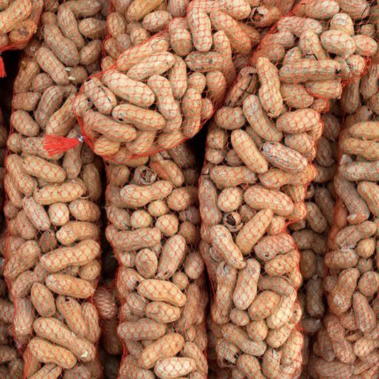 Doppinda Voederslinger voor Tuinvogels – 10 x 400 g