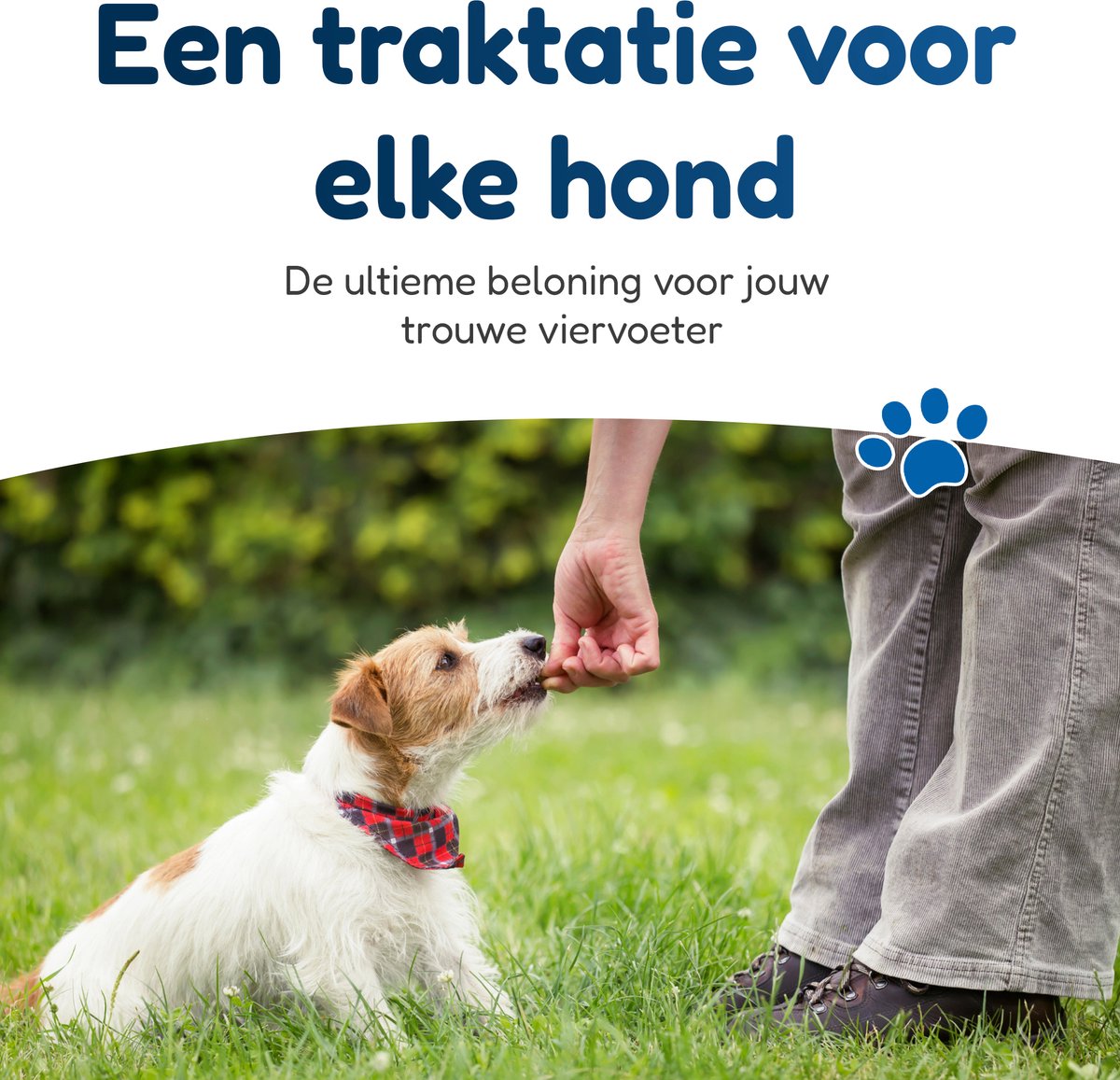 Runderlong Trainers – Vers Gedroogde Hondensnack – 1 kg