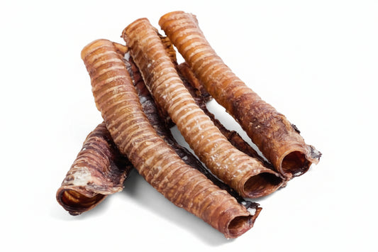 Vers Gedroogde Runderluchtpijp – 20 Stuks – 3 kg – Hondensnack